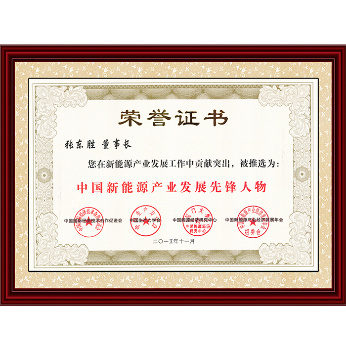 2015中國新能源產業發展先鋒人物